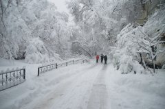 Правдивые приметы на Крещение